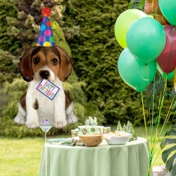 Birthday Puppy Mini Grabo Folyo Balon 14