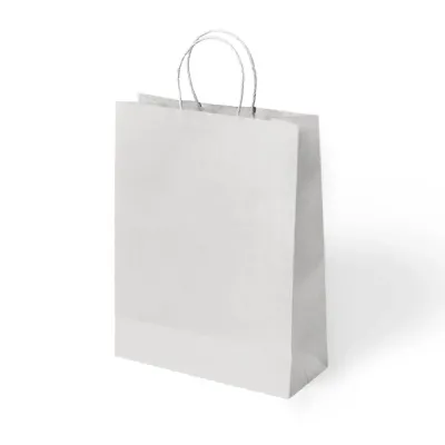 Beyaz Büküm Saplı Poşet Kraft Çanta 22x26cm - 1