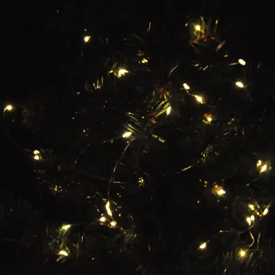 Battery Operated LED Fairy String Lights - 5 Meter - 1