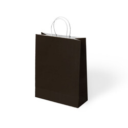 Black Paper Bags with Twisted Handles - 1
