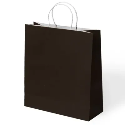 Black Paper Bags with Twisted Handles - 1
