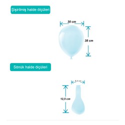Blue Macaron Pastel Balloons 12