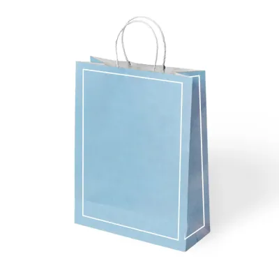 Blue Macaron Paper Bags with Twisted Handles - 1