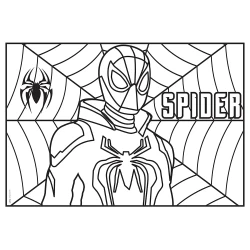 Boyama Aktiviteli Parti Sunumu 8li - Spider- - 3