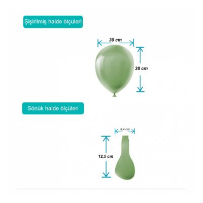 Eucalyptus Pastel Balloons 12
