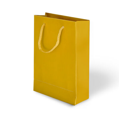 Gift Bags - Gold - 1