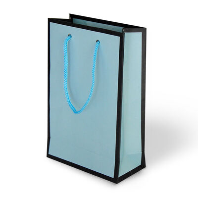 Gift Bags - Matte Island Blue - 1