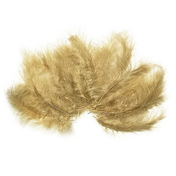 Gold Craft Rooster Feathers - 2