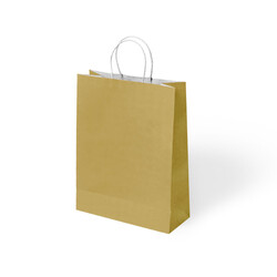 Gold Paper Bags with Twisted Handles - Kikajoy
