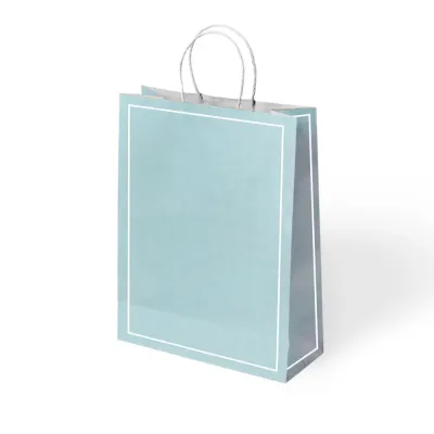 Green Macaron Paper Bags with Twisted Handles - 1