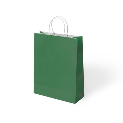 Green Paper Bags with Twisted Handles - 1