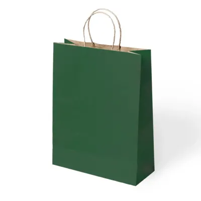 Green Paper Bags with Twisted Handles - 1
