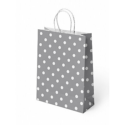 Gümüş Puantiyeli Büküm Saplı Kraft Çanta 25x31 - 1