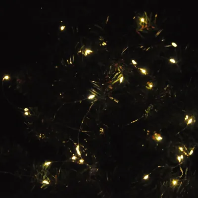 Battery Operated LED Fairy String Lights - 5 Meter - 1