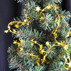 LED Christmas Lights - Star - 1