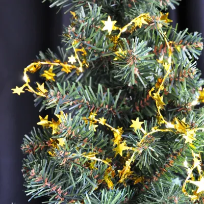 LED Christmas Lights - Star - 1