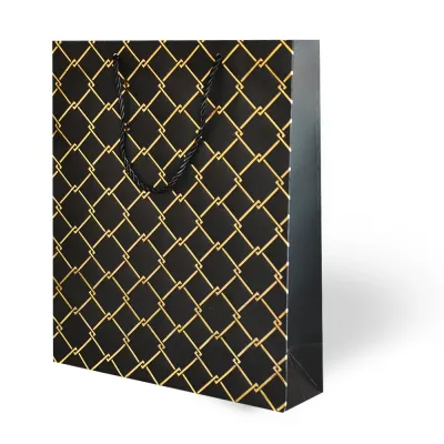 Luxury Gift Bag - Geometry - 2