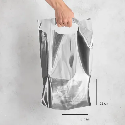 Metallic Carrier Bags - 2