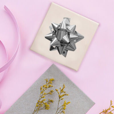 Metallic Silver Gift Bows - No:5 - 1