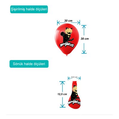 Miraculous Super Heroez Team Balloons 11