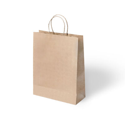 Natural Paper Bags with Twisted Handles - 1