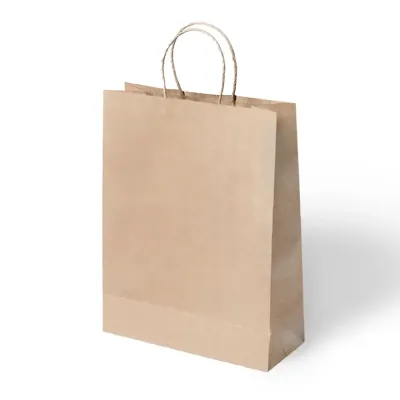 Natural Paper Bags with Twisted Handles - 1