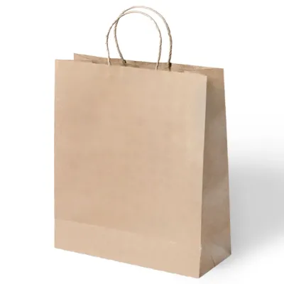 Natural Paper Bags with Twisted Handles - 1