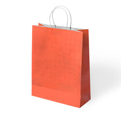 Orange Paper Bags with Twisted Handles - Kikajoy