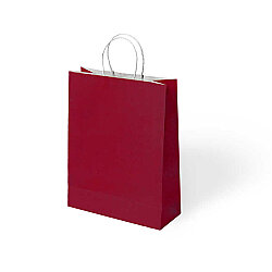 Paper Bags with Twisted Handles 18x24 cm - 4