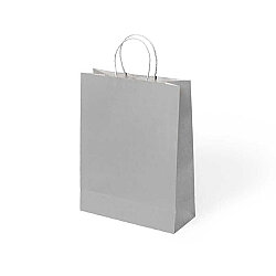 Paper Bags with Twisted Handles 18x24 cm - 6