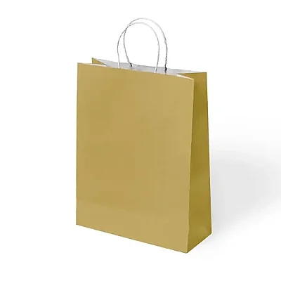 Paper Bags with Twisted Handles 25x31 cm - 1