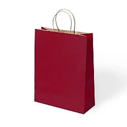 Paper Bags with Twisted Handles 25x31 cm - 2
