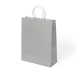 Paper Bags with Twisted Handles 25x31 cm - 3