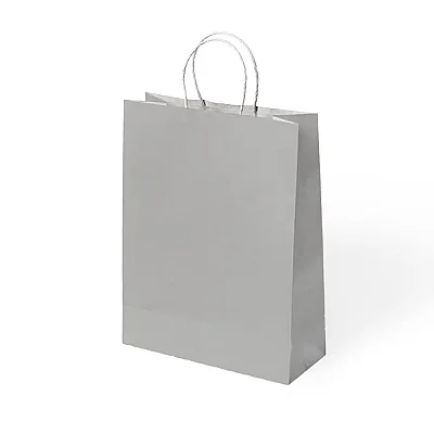 Paper Bags with Twisted Handles 25x31 cm - 3