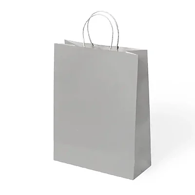 Paper Bags with Twisted Handles 34x41 cm - 1