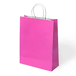 Paper Bags with Twisted Handles 34x41 cm - 2