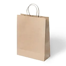 Paper Bags with Twisted Handles 34x41 cm - 3