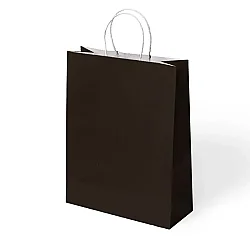 Paper Bags with Twisted Handles 34x41 cm - 4