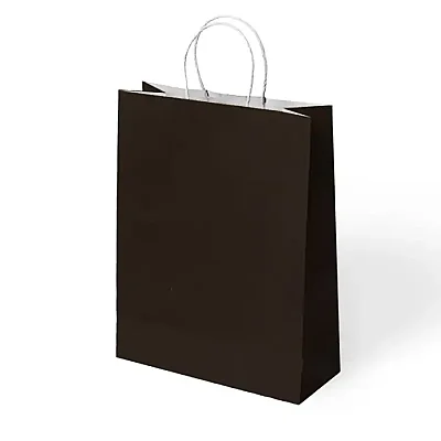 Paper Bags with Twisted Handles 34x41 cm - 4