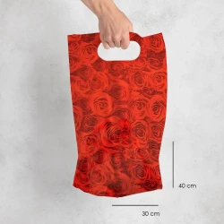 Plastic Carrier Bags - 2