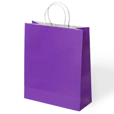 Purple Paper Bags with Twisted Handles - 1
