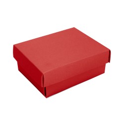 Red Cotton-Filled Necklace Box - 2