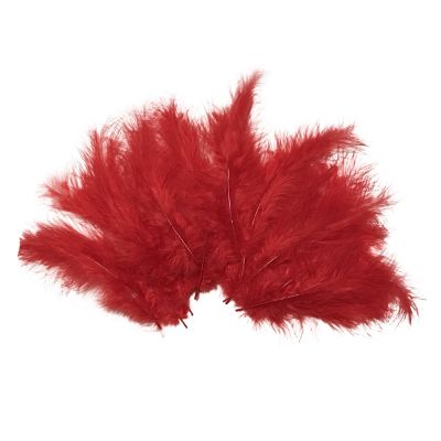 Red Craft Rooster Feathers - 1
