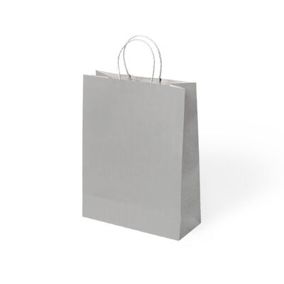 Silver Paper Bags with Twisted Handles - 1