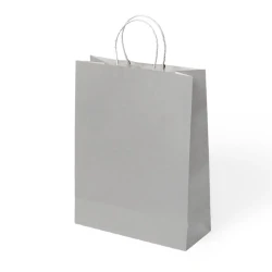 Silver Paper Bags with Twisted Handles - 1