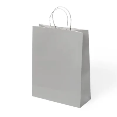 Silver Paper Bags with Twisted Handles - 1