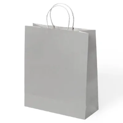 Silver Paper Bags with Twisted Handles - 1