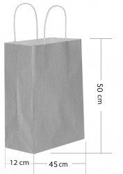 Silver Paper Bags with Twisted Handles - 2