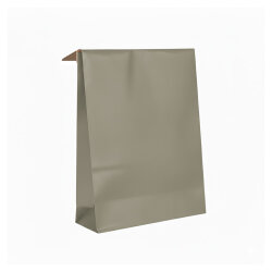 Silver Paper Mailing Bag - Kika