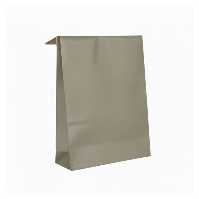Silver Paper Mailing Bag - 1
